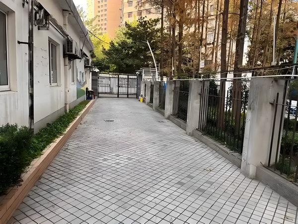 仙天不足